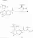 Fig. 08 - Nitrogenous-ring acylguanidine derivative