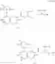 Fig. 09 - Nitrogenous-ring acylguanidine derivative