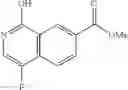 Fig. 48 - Nitrogenous-ring acylguanidine derivative