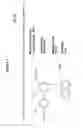 Fig. 02 - METHODS OF INHIBITING VIRAL INFECTION