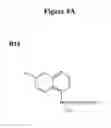 Fig. 09 - METHODS OF INHIBITING VIRAL INFECTION