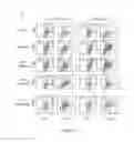 Fig. 04 - INDOLEAMINE 2,3-DIOXYGENASE PATHWAYS IN THE GENERATION OF REGULATORY T CELLS