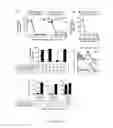 Fig. 23 - INDOLEAMINE 2,3-DIOXYGENASE PATHWAYS IN THE GENERATION OF REGULATORY T CELLS