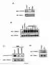 Fig. 03 - COMPOSITIONS FOR PREVENTING, REDUCING OR TREATING KERATINOCYTE-MEDIATED INFLAMMATION