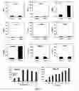 Fig. 07 - COMPOSITIONS FOR PREVENTING, REDUCING OR TREATING KERATINOCYTE-MEDIATED INFLAMMATION