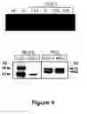 Fig. 04 - COMPOSITIONS AND METHODS FOR REGULATED PROTEIN EXPRESSION IN GUT