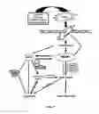 Fig. 02 - Method for preventing and treating cardiovascular diseases with BRCA1