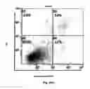 Fig. 35 - Method for preventing and treating cardiovascular diseases with BRCA1