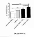 Fig. 44 - Method for preventing and treating cardiovascular diseases with BRCA1