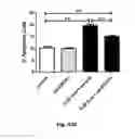 Fig. 46 - Method for preventing and treating cardiovascular diseases with BRCA1