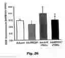 Fig. 49 - Method for preventing and treating cardiovascular diseases with BRCA1