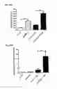 Fig. 52 - Method for preventing and treating cardiovascular diseases with BRCA1