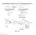 Fig. 04 - NUCLEIC ACID DELIVERY COMPOSITIONS AND METHODS OF USE THEREOF
