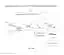 Fig. 05 - NUCLEIC ACID DELIVERY COMPOSITIONS AND METHODS OF USE THEREOF