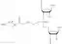 Fig. 48 - NUCLEIC ACID DELIVERY COMPOSITIONS AND METHODS OF USE THEREOF