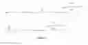 Fig. 03 - Sphingosine-bound siRNA