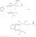 Fig. 07 - Benzo lipoxin analogues