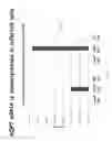 Fig. 07 - METHODS AND COMPOSITIONS FOR INDUCING PHYSIOLOGICAL HYPERTROPHY