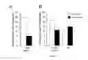 Fig. 14 - METHODS AND COMPOSITIONS FOR INDUCING PHYSIOLOGICAL HYPERTROPHY