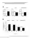 Fig. 16 - METHODS AND COMPOSITIONS FOR INDUCING PHYSIOLOGICAL HYPERTROPHY