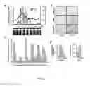 Fig. 22 - METHODS AND COMPOSITIONS FOR INDUCING PHYSIOLOGICAL HYPERTROPHY