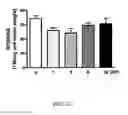 Fig. 24 - METHODS AND COMPOSITIONS FOR INDUCING PHYSIOLOGICAL HYPERTROPHY