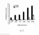 Fig. 26 - METHODS AND COMPOSITIONS FOR INDUCING PHYSIOLOGICAL HYPERTROPHY