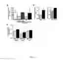 Fig. 34 - METHODS AND COMPOSITIONS FOR INDUCING PHYSIOLOGICAL HYPERTROPHY