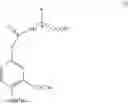 Fig. 08 - Microbiological method for synthesizing cinnamoyl amide derivatives of amino acids