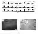 Fig. 04 - HIERARCHICAL THERMOPLASTIC SURFACE TEXTURES FORMED BY PHASE TRANSFORMATION AND METHODS OF MAKING