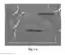 Fig. 02 - POLYMER BLEND COMPOSITIONS