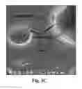 Fig. 09 - POLYMER BLEND COMPOSITIONS