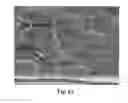 Fig. 10 - FILLED POLYIMIDE POLYMERS