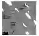 Fig. 01 - FILLED POLYIMIDE POLYMERS
