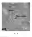 Fig. 02 - FILLED POLYIMIDE POLYMERS