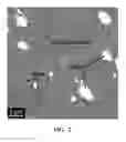Fig. 03 - FILLED POLYIMIDE POLYMERS