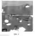 Fig. 04 - FILLED POLYIMIDE POLYMERS