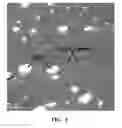 Fig. 06 - FILLED POLYIMIDE POLYMERS