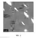Fig. 07 - FILLED POLYIMIDE POLYMERS