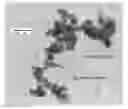 Fig. 01 - Coating comprising multipopulation fumed silica particles