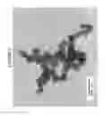 Fig. 03 - Coating comprising multipopulation fumed silica particles