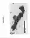 Fig. 04 - Coating comprising multipopulation fumed silica particles
