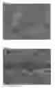 Fig. 05 - Coating comprising multipopulation fumed silica particles