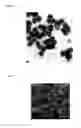 Fig. 02 - ORGANIC-INORGANIC COMPOSITE PARTICLES