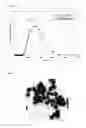 Fig. 03 - ORGANIC-INORGANIC COMPOSITE PARTICLES