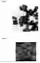 Fig. 04 - ORGANIC-INORGANIC COMPOSITE PARTICLES