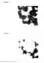 Fig. 05 - ORGANIC-INORGANIC COMPOSITE PARTICLES