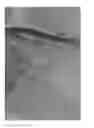 Fig. 06 - Poly(Lactic Acid) Shrink Film