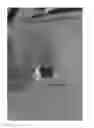 Fig. 07 - Poly(Lactic Acid) Shrink Film