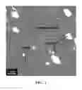 Fig. 03 - Polymer blend compositions